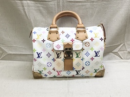 Louis Vuitton Speedy 30 Multicolor
