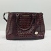 Brahmin Mini Asher Satchel