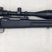 Savage Arms Model 10 .308