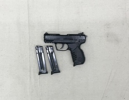 Ruger SR22 .22lr