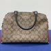 Coach Lillie Carryall Purse